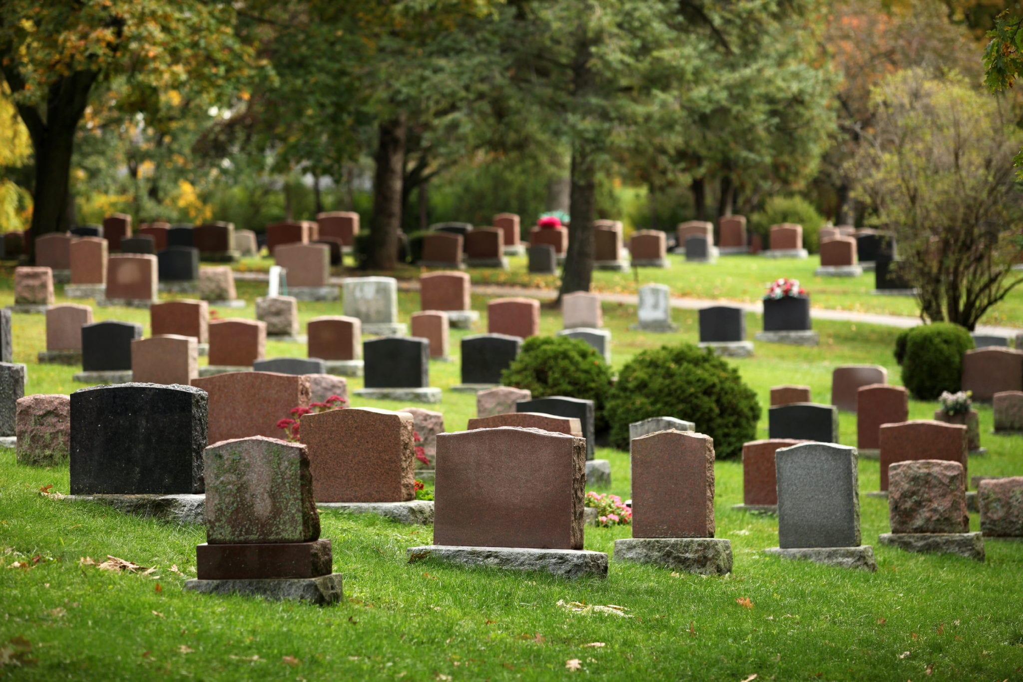 Wrongful death graveyard